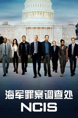 海军罪案调查处