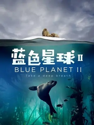 《蓝色星球 2》2017｜纪录家庭剧集网盘