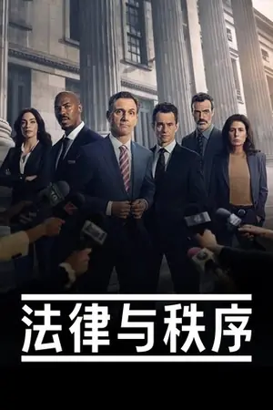 《法律与秩序》1990犯罪剧情剧集海报