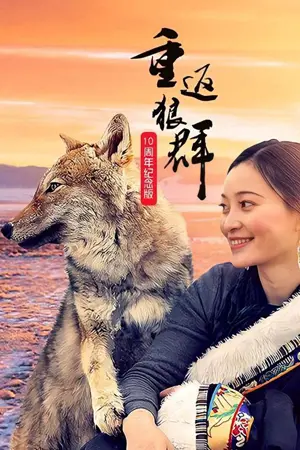 《重返狼群:10周年特别纪念版》2021纪录剧集海报