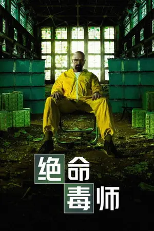 《绝命毒师》2008｜剧情犯罪剧集网盘
