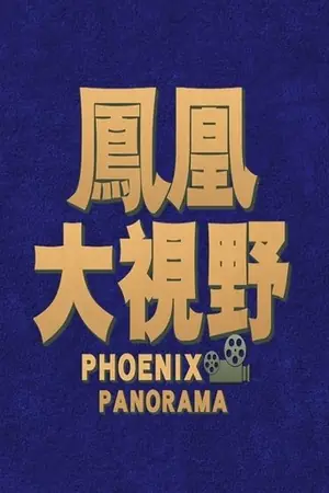 《凤凰大视野》2004｜新闻剧集网盘