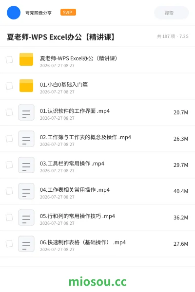 《夏老师-WPS Excel办公【精讲课】》教程网盘｜学习资源网盘