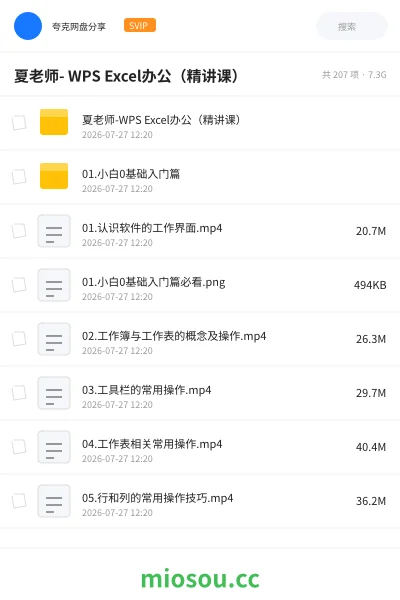 《夏老师- WPS Excel办公(精讲课)》人工智能网盘|学习资源网盘