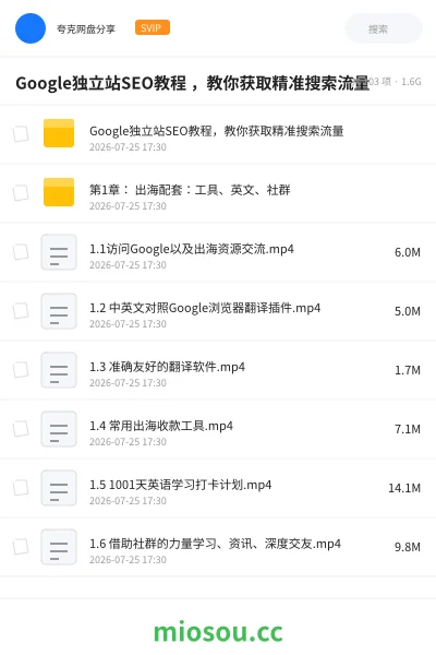 《Google独立站SEO教程 ,教你获取精准搜索流量》人工智能网盘|学习资源网盘