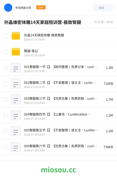 《孙晶维密体雕14天家庭陪训营-极致臀腿》教程网盘｜学习资源网盘