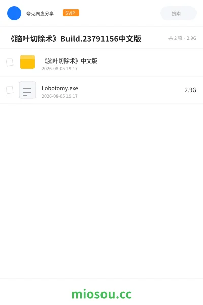 《《脑叶切除术》Build.23791156中文版》游戏网盘｜学习资源网盘