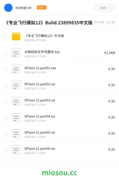 《《专业飞行模拟12》Build.23899835中文版》游戏网盘|学习资源网盘