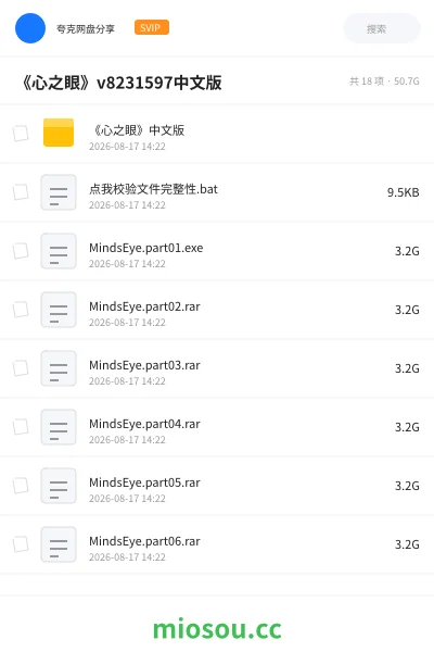 《《心之眼》v8231597中文版》游戏网盘｜学习资源网盘