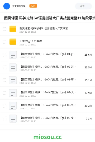 《🔥 图灵课堂 码神之路Go语言挺进大厂实战营完整11阶段带资料》编程网盘|学习资源网盘