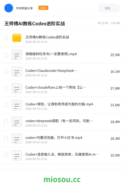 《王师傅AI教练Codex进阶实战》AIGC网盘|学习资源网盘