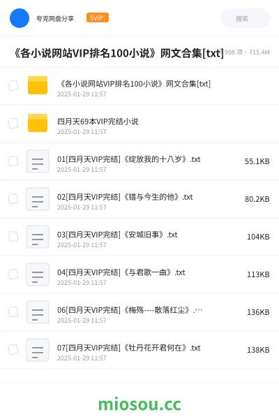 《《各小说网站VIP排名100小说》网文合集[txt]》小说网盘｜学习资源网盘