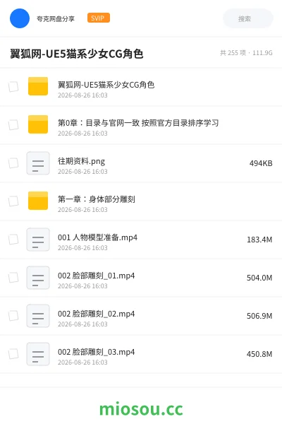 《翼狐网-UE5猫系少女CG角色》教程网盘|学习资源网盘