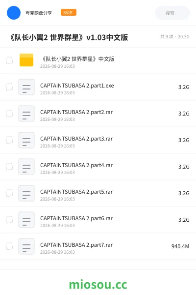 《《队长小翼2 世界群星》v1.03中文版》游戏网盘|学习资源网盘