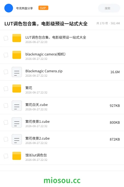 《LUT调色包合集,电影级预设一站式大全》影视网盘|学习资源网盘
