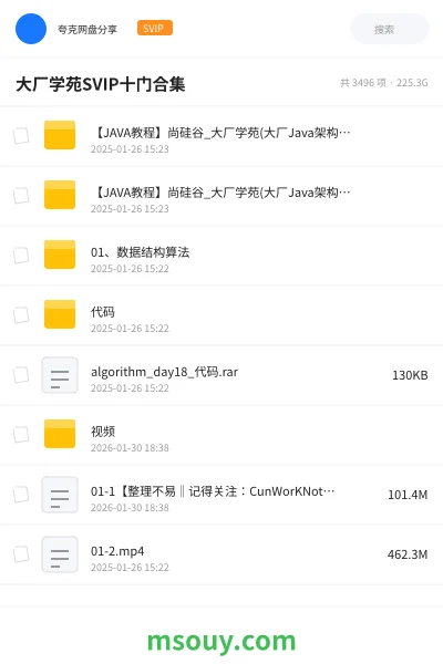 《大厂学苑SVIP十门合集》编程学习资源封面