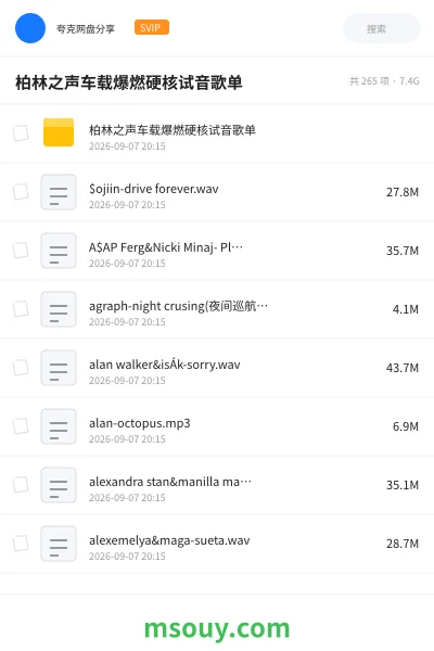 《柏林之声车载爆燃硬核试音歌单》音乐学习资源封面