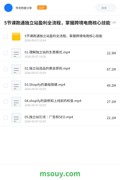 《5节课跑通独立站盈利全流程,掌握跨境电商核心技能》AIGC学习资源封面