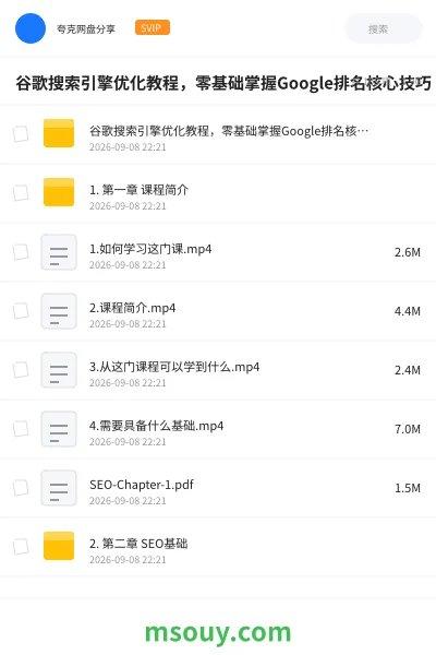 《谷歌搜索引擎优化教程,零基础掌握Google排名核心技巧》教程学习资源封面