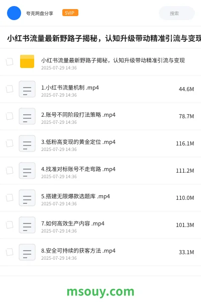 《小红书流量最新野路子揭秘,认知升级带动精准引流与变现》网赚学习资源封面