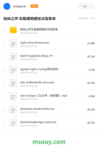 《柏林之声 车载爆燃硬核试音歌单》音乐学习资源封面