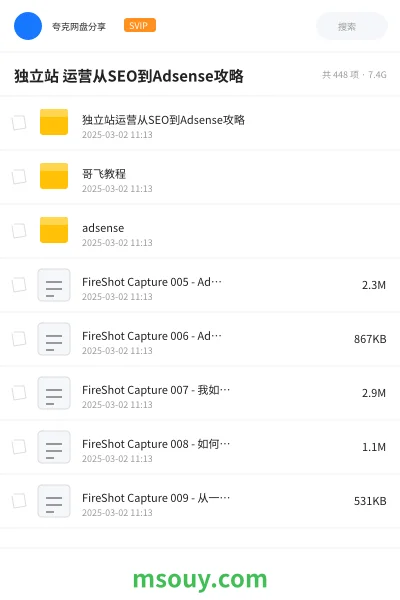 《独立站 运营从SEO到Adsense攻略》网赚学习资源封面