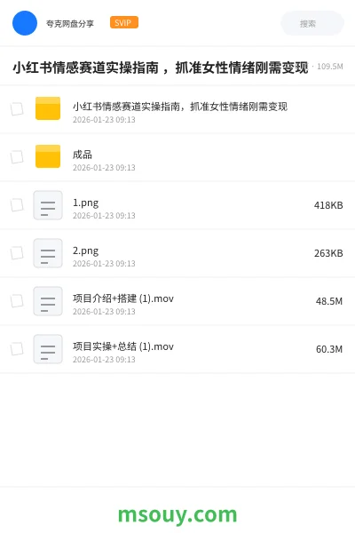 《小红书情感赛道实操指南 ,抓准女性情绪刚需变现》教程学习资源封面