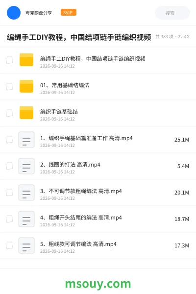 《编绳手工DIY教程,中国结项链手链编织视频》教程学习资源封面
