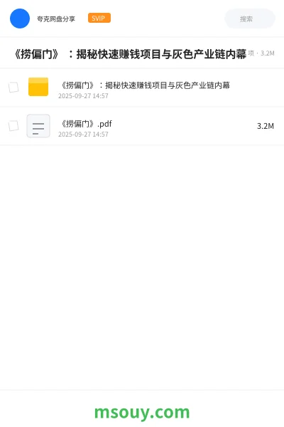 《《捞偏门》 :揭秘快速赚钱项目与灰色产业链内幕》网赚学习资源封面
