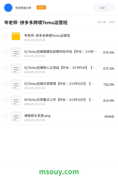 《岑老师·拼多多跨境Temu运营班》AIGC学习资源封面