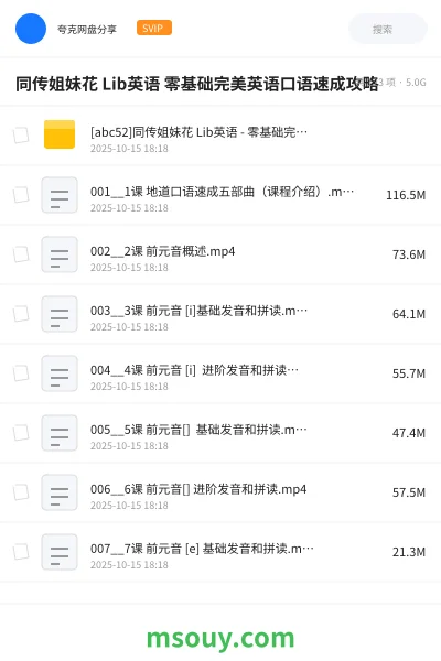 《同传姐妹花 Lib英语 零基础完美英语口语速成攻略》英语学习资源封面