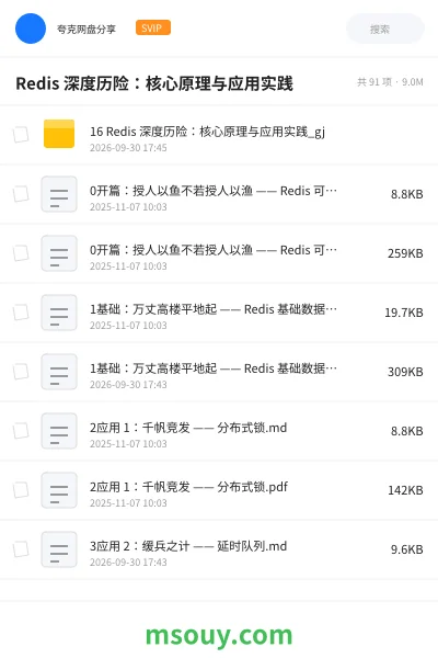 《Redis 深度历险:核心原理与应用实践》编程学习资源封面