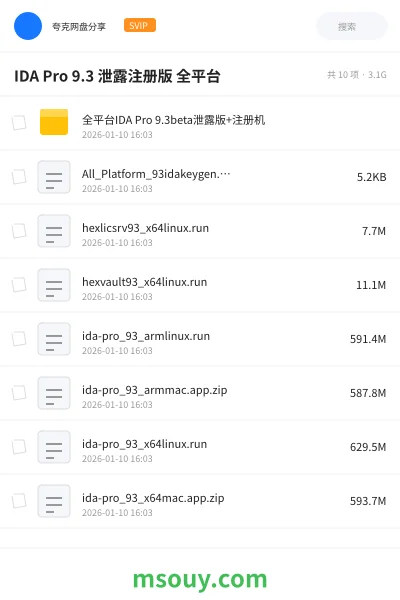 《IDA Pro 9.3 泄露注册版 全平台》软件网盘|学习资源网盘