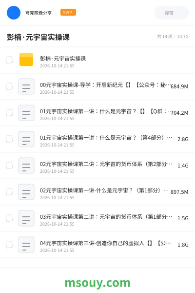 《彭楠·元宇宙实操课》教程学习资源封面