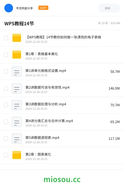 《【WPS教程】14节教你如何做一张漂亮的电子表格》教程学习资源封面