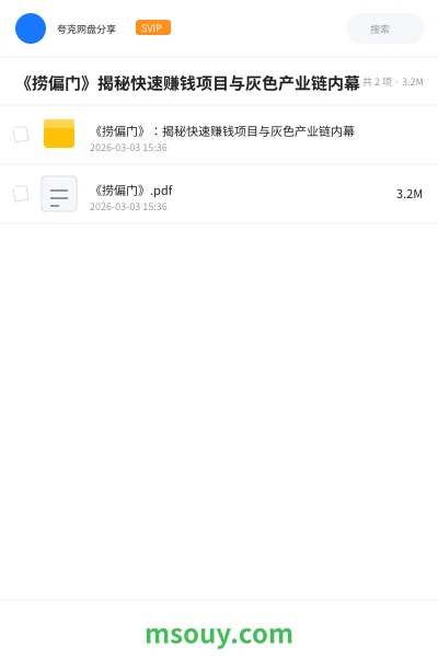 《《捞偏门》揭秘快速赚钱项目与灰色产业链内幕》网赚学习资源封面