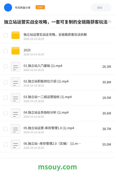 《独立站运营实战全攻略,一套可复制的全链路获客玩法》教程学习资源封面