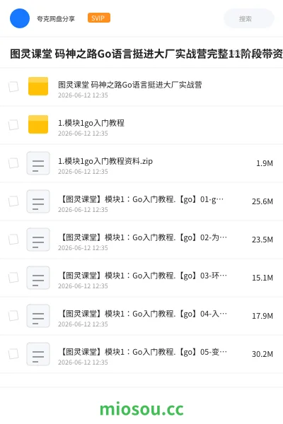 《图灵课堂 码神之路Go语言挺进大厂实战营完整11阶段带资料》编程网盘|学习资源网盘