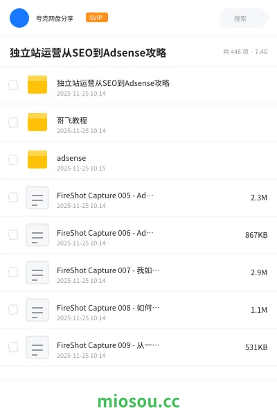 《独立站运营从SEO到Adsense攻略》AIGC网盘|学习资源网盘
