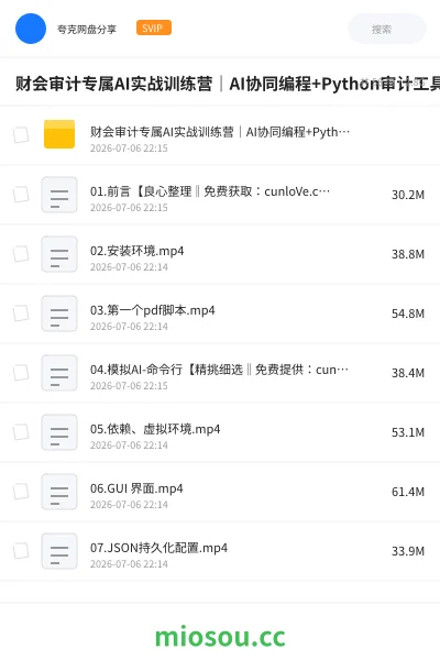 《财会审计专属AI实战训练营|AI协同编程+Python审计工具箱+Excel VBA加载项落地》AIGC网盘|学习资源网盘