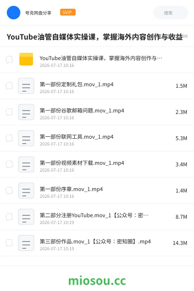 《YouTube油管自媒体实操课 ，掌握海外内容创作与收益》人工智能网盘｜学习资源网盘